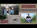 Карантин в Краснодаре | Учеба на дистанционке КубГУ | VLOG 28