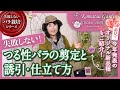 つる性バラの剪定・誘引、仕立て方【失敗しないバラ栽培シリーズ】vol.2