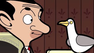 Vídeo de Generous Friends