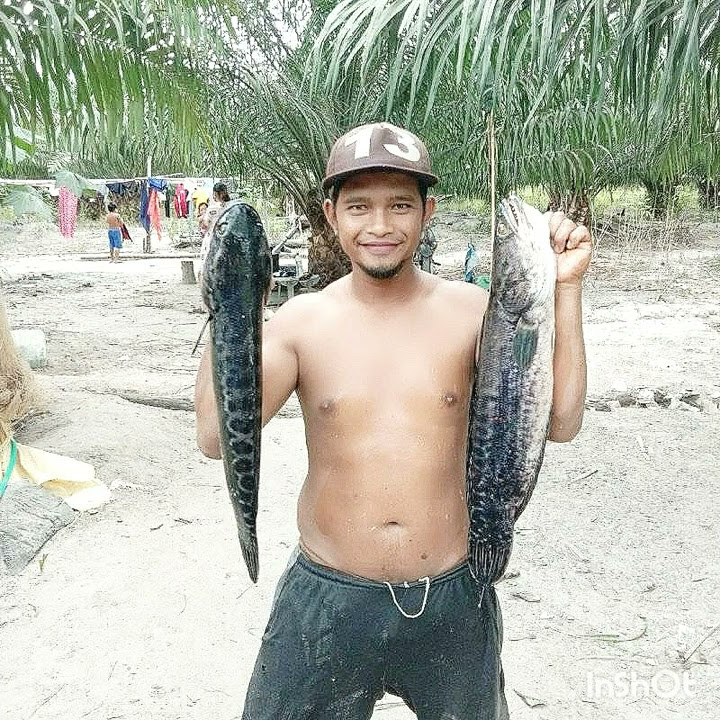 hasil mancing gokil lur @Aanmlck #short