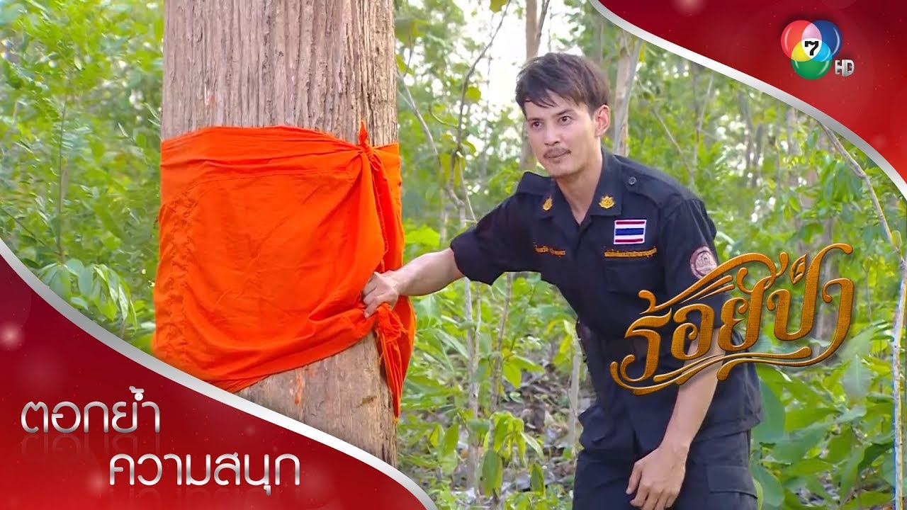 เสือรอดปาฏิหาริย์ เพราะต้นไม้ใหญ่ในป่า! | ตอกย้ำความสนุก ร้อยป่า EP.5 | Ch7HD