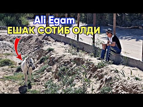 КИЗИКАРЛИ ВОКЕАЛАРГА ТУЛА БОЛДИ ВИДЕО