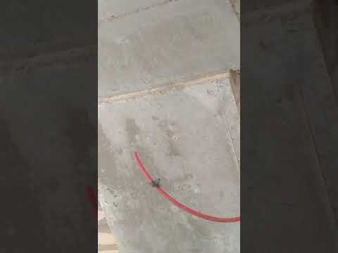 مشكله تنفيذ قلبه سلم