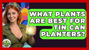 What Plants Are Best For Tin Can Planters? - The Upcycle Lab