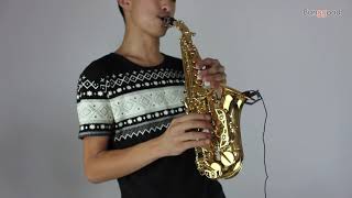 Slade Saxophone Soprano Instrument B-flat Saxophone for Beginner