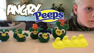DIY Angry Birds Game with PEEPS!