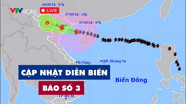 Trực tiếp: Cập nhật diễn biến cơn bão số 3 | VTV24