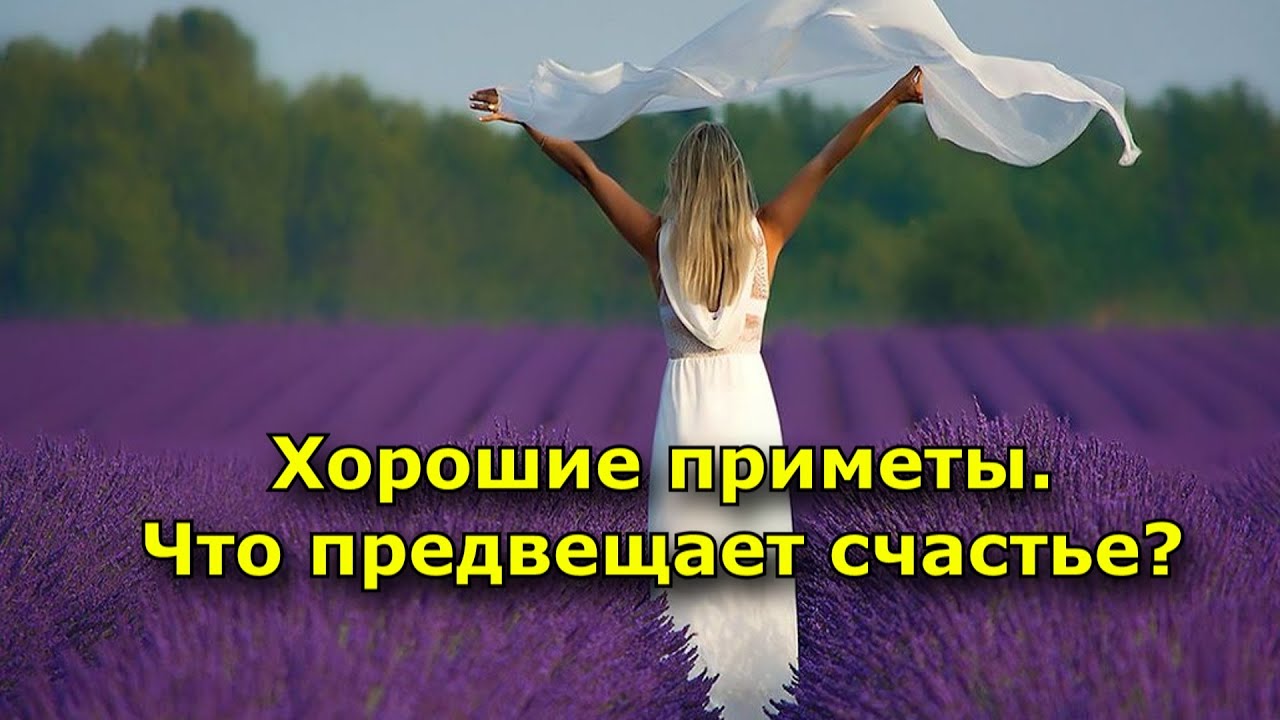 Хорошие приметы на счастье. Добрые приметы. примета на счастье. плохая примета - на счастье. особая примета счастья.