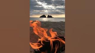 Godbless - She Passed Away @musalana_5758