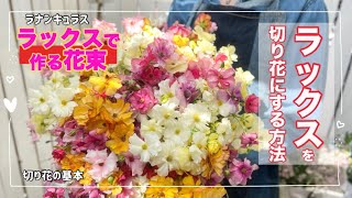 ラナンキュラスラックス」を「切り花」にする方法 花束を贈る 実は