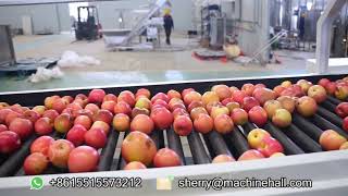 What is the primary processing of apple?