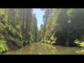 Kahnfahrt auf der Oberen Schleuse im Kirnitzschtal im Nationalpark Sächsische schweiz