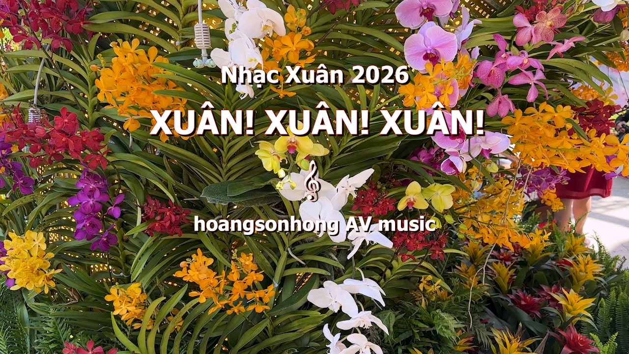 Xuan! Xuan! Xuan! - Nhạc Xuân 2026