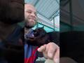 With Cat &amp; Dog. #gymtok #andreysmaev #nature #cat #dog