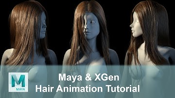 LEO Production Studio - Realistic Female Hair Animation Tutorial with Maya XGen