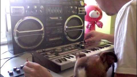 Tutorial - how to run external devices trough the microKorg