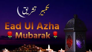 Eid ul azha special 2021 | Takbeer e Tashreeq | Ead ul azha Mubarak shorts