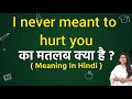 I never meant to hurt you meaning in hindi | I never meant to hurt you ka matlab kya hota hai | Word