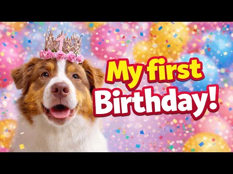 MONA'S 1st BIRTHDAY - Topi the Corgi