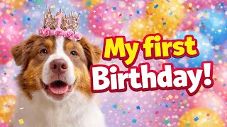 MONA'S 1st BIRTHDAY - Topi the Corgi