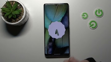 How to Check Android Version on GOOGLE Pixel 7 Pro - Find Android Info