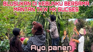 BLUSUKAN MENCARI PANENAN ‼️  Alhmdullilah ada saja 