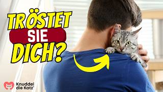 Wenn du traurig bist, macht deine Katze DAS by Knuddel die Katz' 5,050 views 13 days ago 3 minutes, 30 seconds