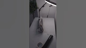 Packing Deku Shield Order