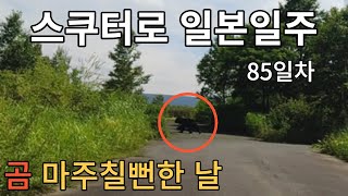 스쿠터로 일본일주(41) - 곰 마주칠뻔한 날