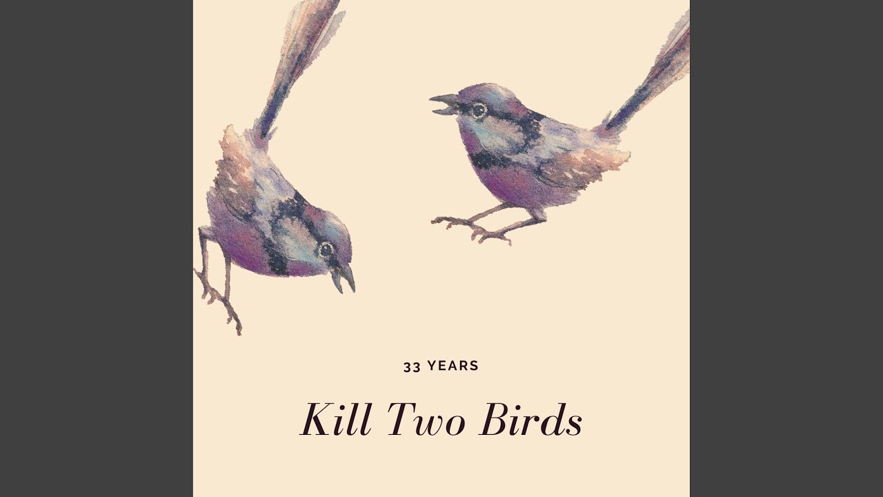 Kill bird. Kill two Birds. To Kill two Birds with one Stone идиома. Песня two Birds. To Kill 2 Birds with one Stone.