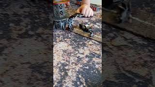 Game 1 Miyazaki Versus Highway Patrol