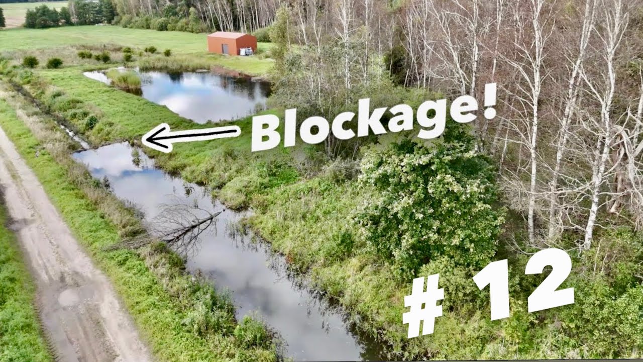What’s Blocking This Stream? TOP 12 of 2025