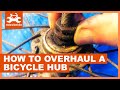 How to overhaul a bicycle hub