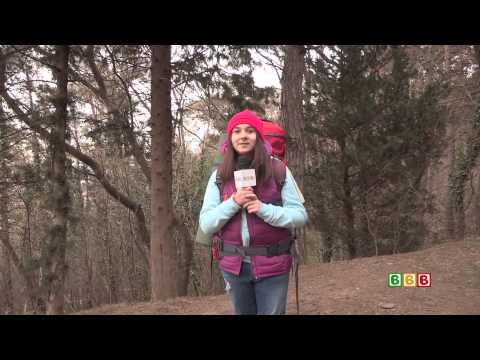 ჩარლის ანგელოზები და აგენტი ბავშვები - 15 გადაცემა