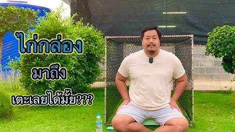 สั่งไก่มาจากต่างจังหวัดไก่มาถึงปล้ำซ้อมได้เลยไหม? #พี่ล่ำไก่ชนEP38#WAYofPLUM#วิถีพี่ล่ำ#ปสุชาดาฟาร์ม
