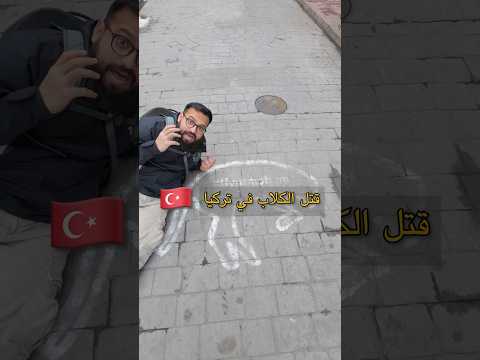 تطهير الكلاب في تركيا سياحة سفر