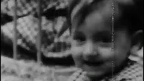 Maternal Deprivation of Children｜ Before and After Therapy