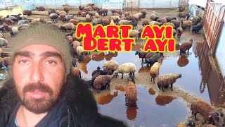 Çok Hastayim Beşodan Sevi̇ndi̇ri̇ci̇ Bi̇r Haber