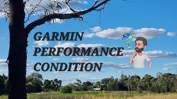 Garmin Performance Condition