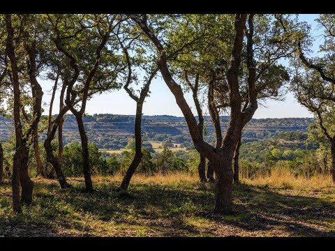 Las Colinas Ranchettes