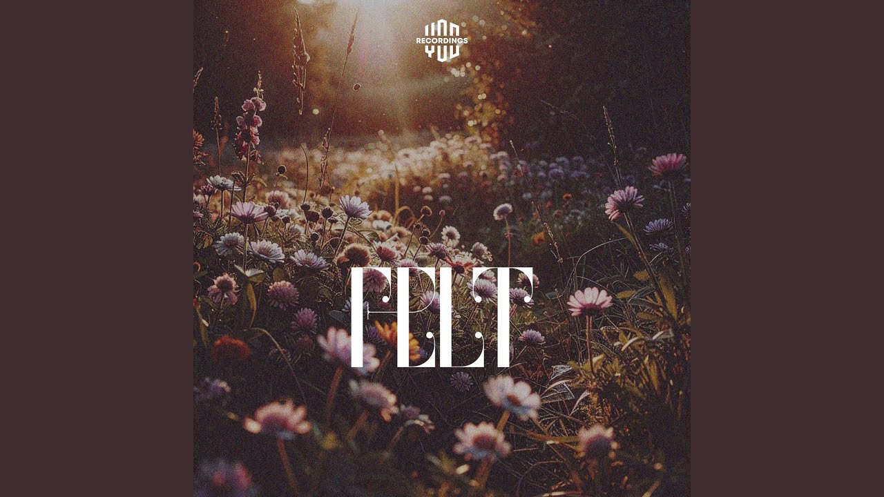 Felt adlı videoyu YouTube'da izle Felt adlı videoyu YouTube'da izle