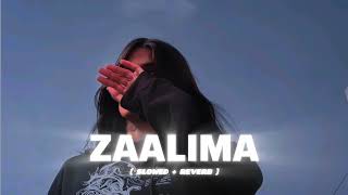 Zaalima - Slowed Reverb Arijit Singh