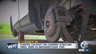 Police search for thieves stealing tires in Brownstown Township
