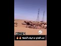 ذود هادي بن حبنان المشاعله 
