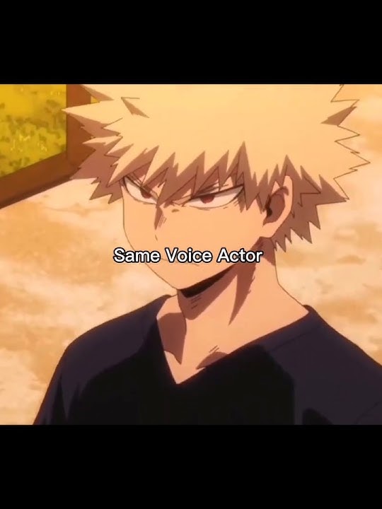 Same Voice Actor 💫