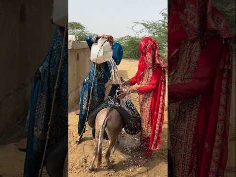 أختان تحملان الماء مع ا على حمار لتأخذاه إلى المنزل 