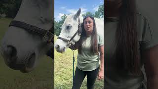 Wheat Midds in Equine Diets (short)