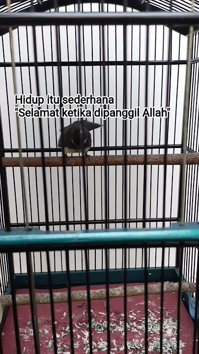 ternyata sesederhana itu tujuan hidup ini, namun berat untuk dijalankan.