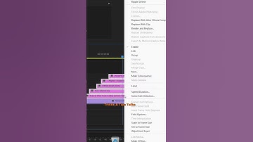 How to Apply Effects on Multiple Clips INSTANTLY - Premiere Pro 2024 #premiereproeffects#premierepro