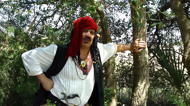 Angela Beasley's Puppet People Pirate Parties